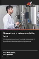 Bioreattore a colonna a letto fisso