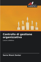 Controllo di gestione organizzativa