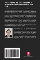Mecanismo de crescimento e rendibilidade da economia dos EUA