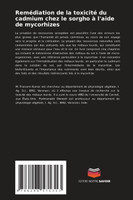 Remédiation de la toxicité du cadmium chez le sorgho à l'aide de mycorhizes