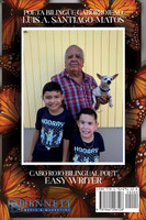 De poemas a canciones