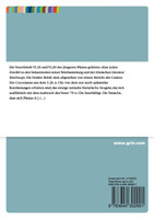 Die Vesuvbriefe des jüngeren Plinius