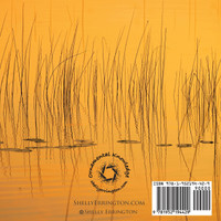 What's This Gadget For?