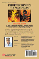 Phoenix Rising, The Next Episode