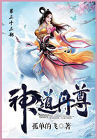 神道丹尊 : 第三十三部 by 孤单地飞 (Paperback)