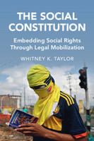 The Social Constitution (Paperback)