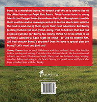 Benny Goes to School by Sherry Porter (Hardcover)