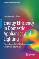 Energy Efficiency in Domestic Appliances and Lighting by Paolo Bertoldi (Paperback)