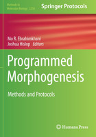 Programmed Morphogenesis by Mo R. Ebrahimkhani (Paperback)