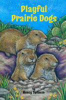 Playful Prairie Dogs