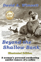 Beyond the Shallow Bank by David Wimsett (Paperback)