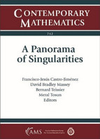 A Panorama of Singularities