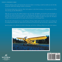 Big Lessons from Little Airplanes by Tex Newman (Paperback)