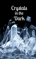 Crystals in the Dark by Paula Raudsepp (Paperback)