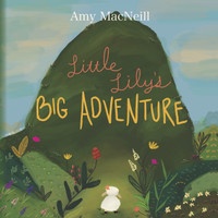 Little Lily's Big Adventure by Amy MacNeill (Paperback)