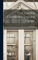 Cucumber Growing Under Glass by A A Fabius (Hardcover)