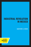 Industrial Revolution in Mexico