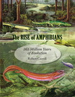 The Rise of Amphibians