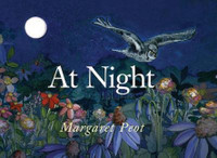 At Night