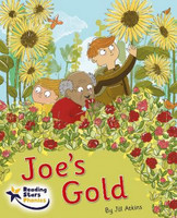 Joe's Gold