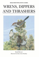 Wrens, dippers and thrashers