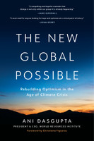 The New Global Possible