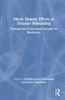 Micro Human Efforts in Disaster Rebuilding