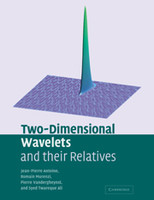 Two-Dimensional Wavelets and their Relatives