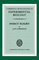 Insect Flight
