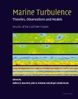 Marine Turbulence