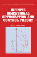 Infinite Dimensional Optimization and Control Theory
