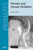 Primate and Human Evolution