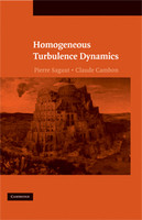 Homogeneous Turbulence Dynamics