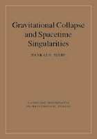 Gravitational Collapse and Spacetime Singularities