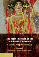 The Right to Health at the Public/Private Divide
