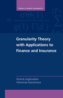 Granularity Theory with Applications to Finance and Insurance