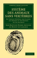 Système des animaux sans vertèbres