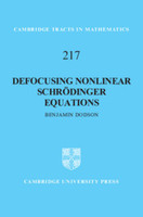 Defocusing Nonlinear Schrödinger Equations