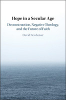Hope in a Secular Age