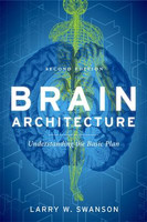 Brain Architecture