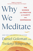 Why We Meditate