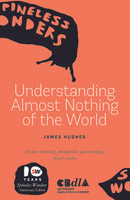 Understanding Almost Nothing of the World