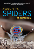 A Guide To Spiders Of Australia (UPDATED ED)