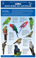 Bush Birds of Australia - ID Chart
