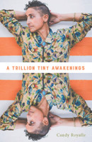 A Trillion Tiny Awakenings 