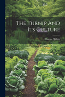 The Turnip And Its Culture