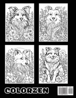 Collie Canvases