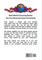 Real World Colouring Books Series 69