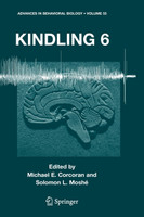 Kindling 6
