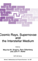 Cosmic Rays, Supernovae and the Interstellar Medium